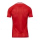 Camisetas Nike Dri Fit Entrenamiento Rojo